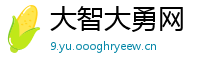 大智大勇网